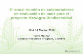 en evaluación de maíz para el proyecto MasAgro-Biodiversidad · Mejoradores de Líneas Elite ... Turcicum en el vivero de Agua Fría, Feb. 2016 CML549: green ... Complejo mancha