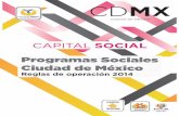 CAPITAL SOCIAL - CDMX · 2014-11-24 · 8 aviso por el cual se dan a conocer las modificaciones a los lineamientos y mecanismos de operaciÓn del programa social “ollin callan”,