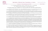 Boletín Oficial de Castilla y León - empleo.gob.es · Mujeres y Hombres y contra la Violencia de Género en Castilla y León 2013-2018. Uno ... n.º 1407/2013, de la Comisión de
