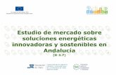 Estudio de mercado sobre soluciones energéticas innovadoras …greensproject.eu/wp-content/uploads/2016/12/170830_Translated... · dirigido a los proveedores, con una batería de