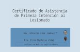 Certificado de Asistencia de Primera Intención al Lesionado · PPT file · Web view2016-10-05 · Descripción de las lesiones en el certificado. ... dificultades en el trabajo