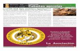Editorial Campo Abejas Suplemento Cabañas apícolas · 3 Visite nuestro sitio web:  Podemos aprovechar y equilibrar el apiario a una determinada cantidad de cuadros de cría.