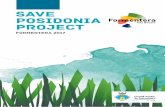 save posidonia project · pradera de posidonia había sufrido una regresión entre los años 2008 y 2012 El valor de las praderas de posidonia 8 save posidonia project. 3 1 2