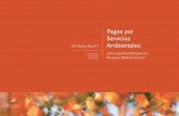 Pagos por Servicios EFI Policy Brief 7 Ambientales · Los propietarios o gestores de la tierra reciben un pago por la provisión de ciertos servicios ambien- ... como pagos por servicios