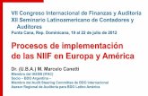 Procesos de implementación de las NIIF en Europa y América · de las NIIF en Europa y América Dr. (U.B.A.) M. Marcelo Canetti ... Socio – BDO Argentina – Miembro del Audit