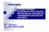 20 Electro Sur Este - OSINERGMIN -GART · 2005 4,385 2.90% 594 9.80% ... Número de Clientes AÑO N° CLIENTE TASA ... 1999 7,859 9.32% 2000 8,382 6.65% 2001 9,122 8.83%