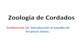 Zoología de Cordados - cmas.siu.buap.mxcmas.siu.buap.mx/portal_pprd/work/sites/biologia/resources... · INTRODUCCIÓN Preguntas sobre la clase anterior Sistema circulatorio Sistema