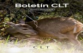 Boletín CLT - proyectoibera.org · Con este boletín queremos dar inicio a una nueva etapa de co-municación de los proyectos de CLT en Argentina. El trabajo rea - lizado en los