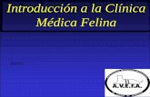 Introducción a la Clínica Médica Felinavetcomunicaciones.com.ar/uploadsarchivos/introduccion_texto.pdf · aepaludi@hotmail.com. Title: Presentación de PowerPoint Author: Alejandro
