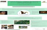 SAN JUAN DE CORRALITO, LA PRIMERA ÁREA PROTEGIDA … · La fauna del área de conservación y la diversidad animal ligada a los ecosistemas del Santuario Ecológico. 5. ... Slide