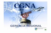 13 Gerencia Regional espanhol REVISADO NOVISSIMO [Modo … Gerencia Regional_espanhol... · Subsección de Gerenciamiento Tático de Tráfico Aéreo POSICIONES OPERACIONALES Gerencia