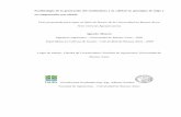 Repositorio | FAUBA | Alzueta, Ignacio 'Ecofisiologia de ...ri.agro.uba.ar/files/download/tesis/doctorado/2014alzuetaignacio.pdf · Ecofisiología de la generación del rendimiento