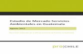 Estudio de Mercado Servicios Ambientales en Guatemala · • Servicios administrativos para Latinoamérica AISM Chile, S.A. ... estableciendo los principios sobre su ... (CERs) para