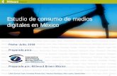 Estudio de consumo de medios digitales en México · Chateando/Mensajes instantáneos Enviando o revisando correo Las actividades de comunicación, o búsqueda de información son