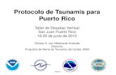 Protocolo de Tsunamis para Puerto Ricoredsismica.uprm.edu/Spanish/desalojovertical/docs/Christa-TAllerD... · •Monitorean terremotos •Monitorean los niveles de agua •Cuando