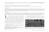 Artículo de revisión - Medicina Universitariamedicinauniversitaria.uanl.mx/39/pdf/92.pdf · Este artículo debe citarse como: Gómez FRA, Tamez GRS, Tamez GP, Rodríguez PC. Impacto
