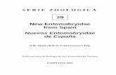 New Entomobryidae from Spain Nuevos Entomobryidae de Españadadun.unav.edu/bitstream/10171/1649/1/sz29.pdf · Los manuscritos no deben tener otro posted for download. Manuscripts