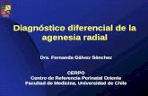 Diagnóstico diferencial de la agenesia radial - CERPO · Diagnóstico diferencial de la agenesia radial Dra. Fernanda Gálvez Sánchez CERPO Centro de Referencia Perinatal Oriente