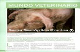 Revista MG Mundo Ganadero - mapama.gob.es · La Sarna Porcina se define como una enfermedad cutánea pruriginosa cuya causa es el ácaro Sarcoptes scabiei var. Suis., artrópodo parásito