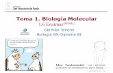Tema 1. Biología Moleculardpbiologia.weebly.com/.../21553524/gtp_t1._biología_molecular__6ª... · Germán Tenorio Biología NS-Diploma BI Tema 1. Biología Molecular 1.6 EnzimasDP/PAU