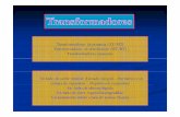 Trafo I (2011 - 01) [Modo de compatibilidad]fotosdeelectricidad.es/wp-content/uploads/2011/01/Trafo-I-2011-011.pdf · Elementos: Transformador trifásico de potencia con reléTransformador