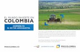 INVERSIÓN EN EL SECTOR AGROINDUSTRIA · ANGOLA, ARGENTINA, BOLIVIA, COLOMBIA, BRASIL, CONGO Y SUDÁN. país en América Latina con disponibilidad de tierras para producción agrícola.