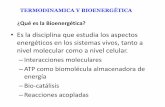 TERMODINAMICA Y BIOENERGÉTICAecaths1.s3.amazonaws.com/esterilizacionparafarmaceuticos/... · La bioenergética es el estudio de: las transformaciones de energía que tienen lugar