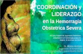 COORDINACIÓN y LIDERAZGO en la Hemorragia Obstetrica … · Actualización en hemorragia postparto Madrid, 19 de Enero de 2018 • La Hemorragia Obstétrica severa (HOS) es una de