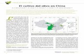 El cultivo del olivo en China - en.mercacei.com · más importantes en la producción de aceite de oliva en China, mientras que la provincia de Jiangsu tiene menos ... zas disponen