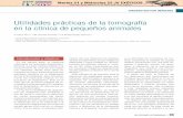 Utilidades prácticas de la tomografía en la clínica de ...tacveterinariavalencia.com/wp-content/uploads/2018/06/Carrillo-SV... · órbita tenían leve osteólisis (ﬂechas). Debido