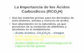 La Importancia de los Ácidos Carboxílicos (RCO H)depa.fquim.unam.mx/.../archivero/acidoscarboxlicosyderivados_20011.pdf · La Importancia de los Ácidos Carboxílicos (RCO 2H) •