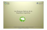 Los Bosques Nativos de la República Argentina - Ley de... · Secretaría de Ambiente y Desarrollo Sustentable de la Nación Dirección de Bosques LEY Nº 26.331 DE PRESUPUESTOS MINIMOS
