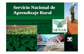 Servicio Nacional de Aprendizaje Rural - ilo.org · Fonte: Relatório de Atividades 2009 e 2010 e Plano Anual de Trabalho 2011. Programas Especiales. Decent Work. SENAR BRASIL. Title: