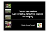Agroecología y Agricultura orgánica en Uruguay · Algunos hitos 2004: Formalización de temática orgánica en la investigación de INIA 2004: Red de Semillas criollas y nativas