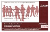 INSTITUTO ELECTORAL DEL ESTADO DE MÉXICO … · 2012, complemento al Estudio sobre el perfil del votante”, coordinados por la Secretaría Ejecutiva General, la Dirección de Organización