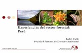 Experiencias del sector forestal: Perú - oas.orgoas.org/dsd/MinisterialMeeting/Documents/Reunionpreviaderecho... · Hay una propuesta presentada por SPDA/IRG que será discutida