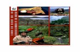 Vision de la Biodiversidad de los Andes del Norted2ouvy59p0dg6k.cloudfront.net/downloads/vision_cean.pdf · colaboradores de cuatro países —Colombia, Ecuador, Perú y Venezuela—