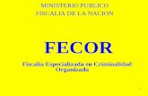MINISTERIO PUBLICO FISCALIA DE LA NACION - mpfn.gob.pe · 3 CRIMINALIDAD ORGANIZADA La Convención de Palermo define “grupo delictivo organizado” como un grupo estructurado de