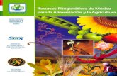 Recursos Fitogenéticos de México para la Alimentación y la … · sobreexplotación, los desplazamientos de cultivos y de variedades tradicionales, la destrucción de la vegetación