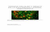 terapia celular y gnica - fundela.es · TERAPIA CELULAR Y GÉNICA EN LA ESCLEROSIS LATERAL AMIOTRÓFICA Células madre neurales humanas se transforman en neuronas colinérgicas cuando
