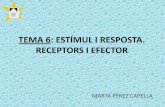 TEMA 6: ESTÍMUL I RESPOSTA. RECEPTORS I EFECTOR 6- estimul i resposta(1).pdf · receptors del so, cèl·lules ciliades detecten el moviment o vibració de l ... TEMA 6: ESTÍMUL