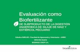 Evaluación como Biofertilizante - cosechaypostcosecha.org©todo -Macro parcelas de 18mts x 130mts con dos bloques O y E -4 tratamientos con Digestato a modo de Biofertilizante -Variación