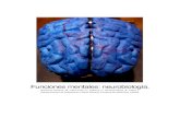 Funciones mentales: neurobiología.psiquiatria.facmed.unam.mx/docs/ism/unidad3.pdf · Preámbulo Años de investigación y el avance de la tecnología nos acercan cada vez más al