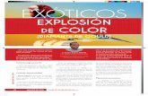 EXPLOSIÓN DE COLORclubdiamantedegould.es/.../uploads/2018/08/NP38-Exoticos-Gould.pdf · 14 EXÓTICOS nesrospaaros. es Explosión de color Efecto fenotípico de las distin-tas mutaciones