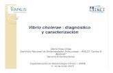 VibrioVibrio cholerae cholerae : diagnóstico y ...ecaths1.s3.amazonaws.com/ebcunne/1566037659.V cholerae 2015.pdf · Instituto Nacional de Enfermedades Infecciosas -ANLIS “Carlos
