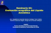 Seminario 64: Evaluación ecográfica del Líquido Amniótico · 2017-04-26 · Seminario 64: Evaluación ecográfica del Líquido ... Paso entre el líquido amniótico y la sangre