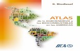 Atlas de la agroenergía y los biocombustibles en las ...unpan1.un.org/intradoc/groups/public/documents/icap/unpan045305.pdf · ii Atlas de la agroenergía y los biocombustibles en