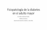 Fisiopatología de la diabetes en el adulto mayor · F. Formiga et al. / Rev Esp Geriatr Gerontol. 2016;51(1):44–51 . Inflamación Lesión Vascular. J Physiol 594.8 (2016) pp 2125–2146