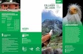COLLADOS DEL ASÓN - redcantabrarural.com · COLLADOS DEL ASÓN Parque Natural ASÓN-AGÜERA-TRASMIERA ENERO-JUNIO 2017 Espacios Naturales Protegidos Calendario de actividades Un