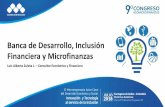 Banca de Desarrollo, Inclusión Financiera y Microfinanzas · - Brasil en competitividad de las empresas y servicios digitales. - Costa Rica impulsa alianzas de desarrollo productivo